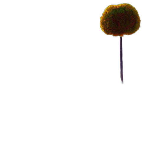 staff, hat, umbrella, hair transparent PNG cut-out