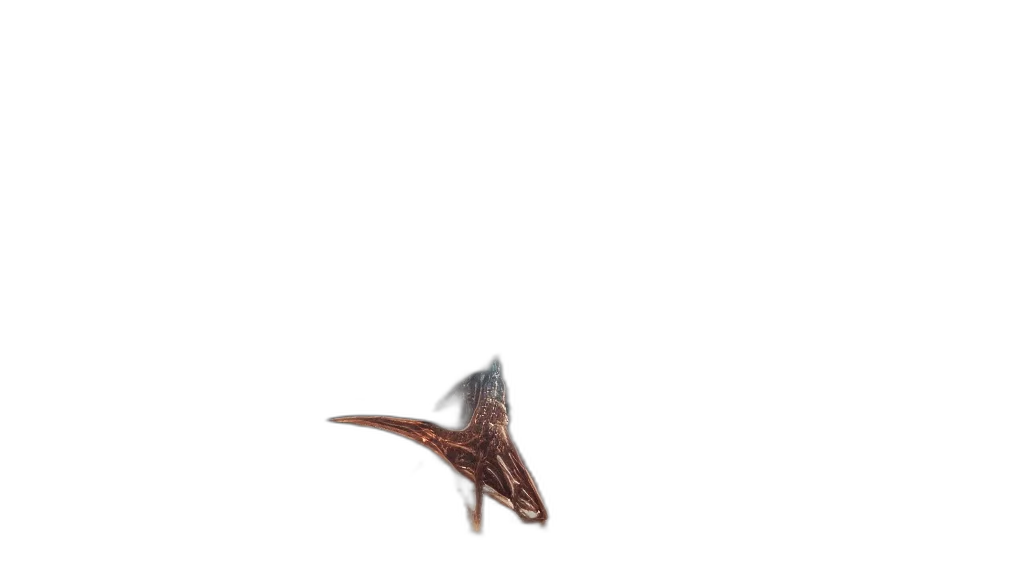 dragon, creature, animal, staff transparent PNG cut-out
