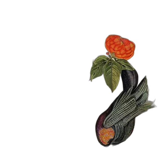 food, flower, crown, hat, photorealistic, 3d render, watercolor, concept art transparent PNG cut-out
