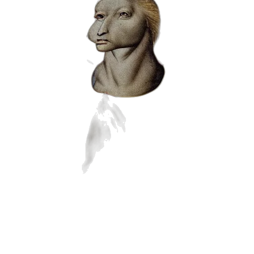 face, mask, creature, staff transparent PNG cut-out