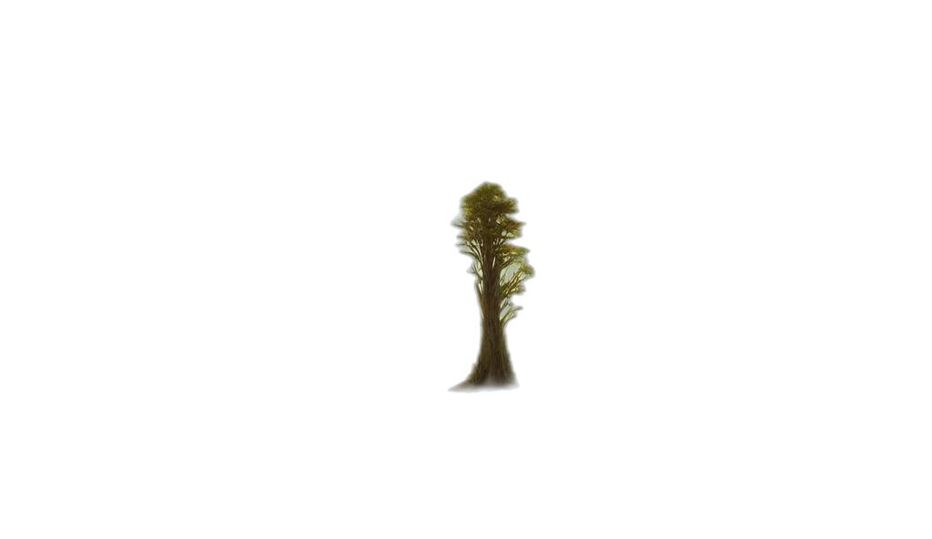 tree, crown, hair, hat transparent PNG cut-out