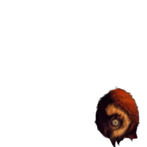 animal, creature, hair, face, concept art, pixel art, 3d render, photorealistic transparent PNG cut-out