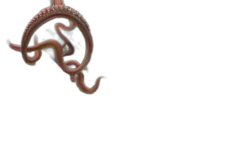 staff, jewelry, hair, dragon, 3d render, photorealistic, concept art, fantasy art transparent PNG cut-out