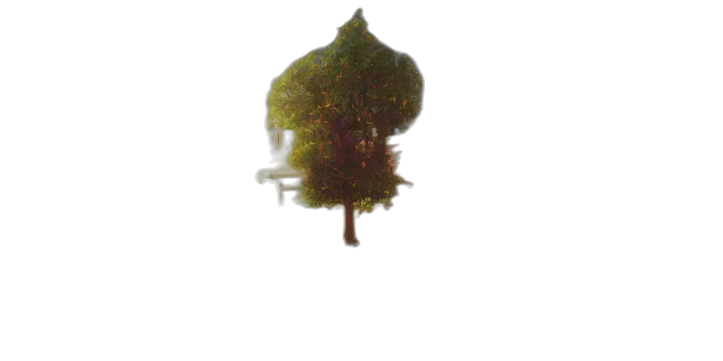 tree, crown, umbrella, flower transparent PNG cut-out