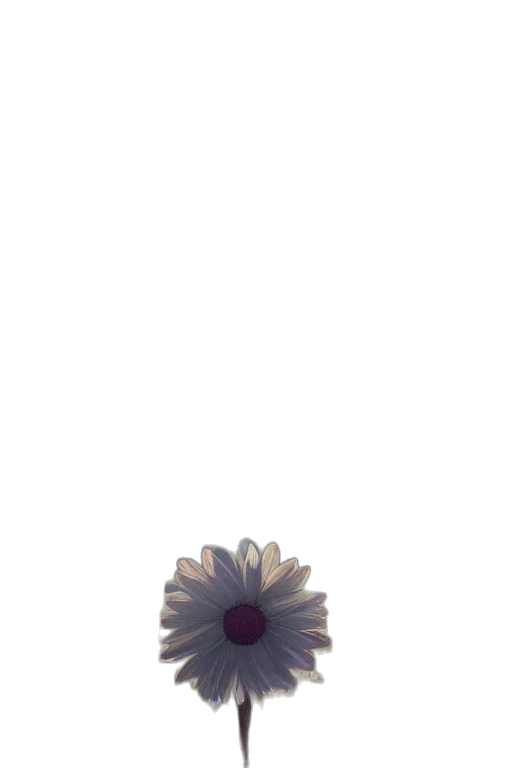 flower, crown, dress, jewelry transparent PNG cut-out