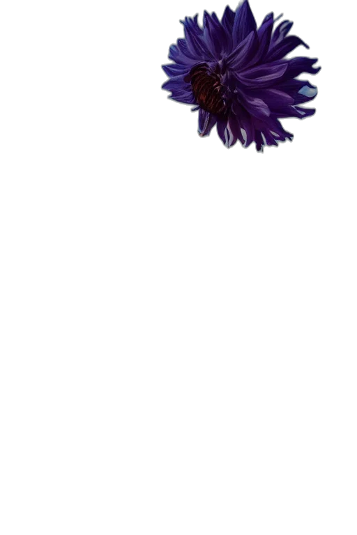 flower, crown, hair, animal, photorealistic, 3d render, pixel art, watercolor transparent PNG cut-out