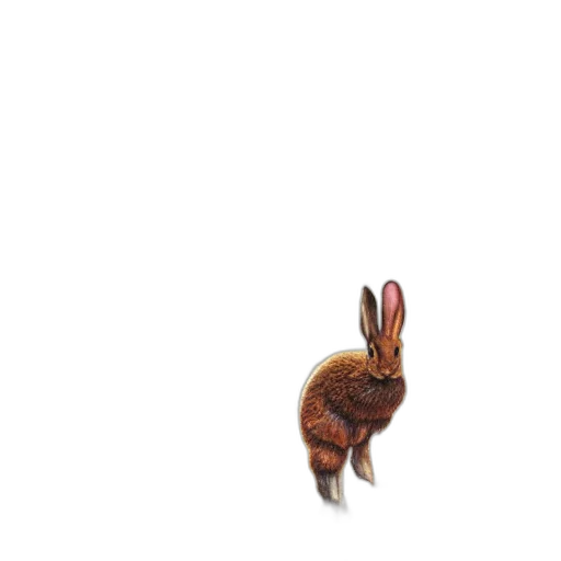 animal, creature, shoes, hair, pixel art, photorealistic, 3d render, concept art transparent PNG cut-out