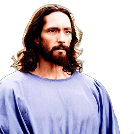 face, animal, hair, photorealistic, jesus, knight, blue, shield transparent PNG cut-out