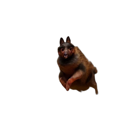 animal, creature, staff, mask transparent PNG cut-out