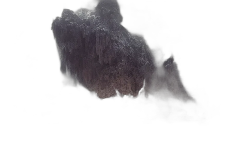 hair, dragon, creature, face transparent PNG cut-out
