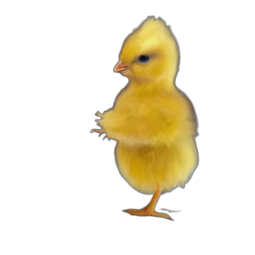 animal, food, creature, weapon, photorealistic, 3d render, pixel art, oil painting transparent PNG cut-out