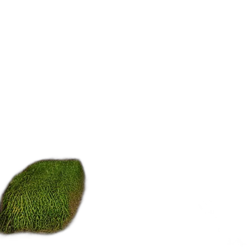 hat, hair, tree, shoes, 3d render, pixel art, photorealistic, concept art transparent PNG cut-out