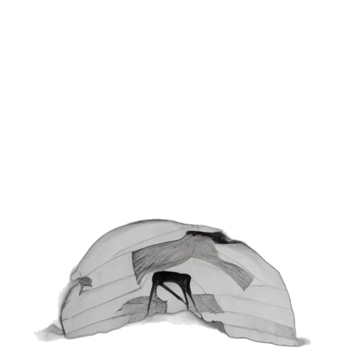 hat, mask, crown, jacket transparent PNG cut-out