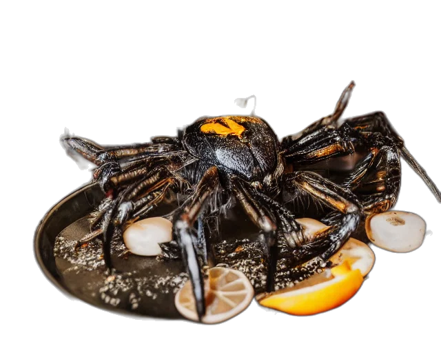 food, animal, shoes, creature, 3d render, photorealistic, concept art, photography transparent PNG cut-out
