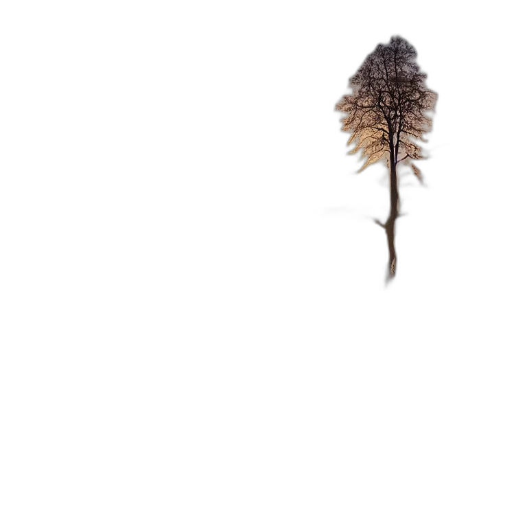 tree, hair, flower, crown, photorealistic, 3d render, concept art, fantasy art transparent PNG cut-out