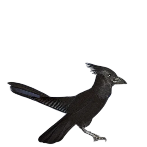animal, staff, creature, weapon, 3d render, concept art, photorealistic, fantasy art transparent PNG cut-out
