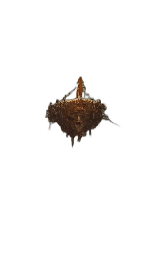 hair, crown, creature, food, concept art, fantasy art, pixel art, 3d render transparent PNG cut-out