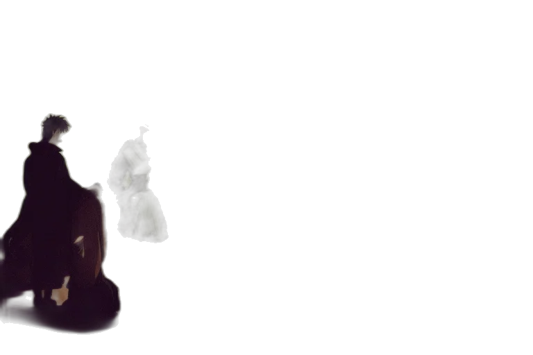 crown, shoes, hair, furniture transparent PNG cut-out