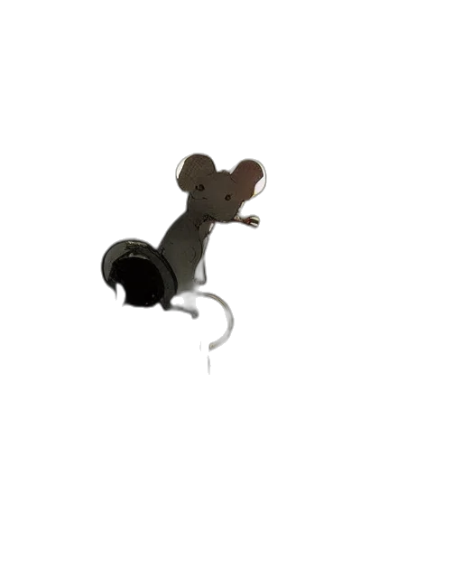 animal, staff, hat, jewelry transparent PNG cut-out