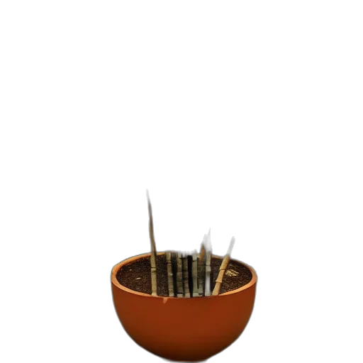 staff, crown, furniture, hair transparent PNG cut-out