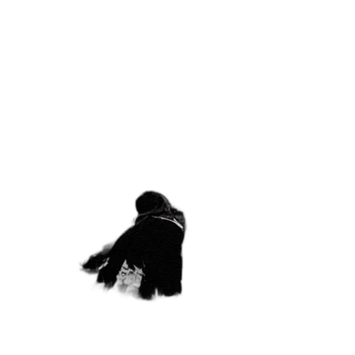 jacket, hat, dress, umbrella transparent PNG cut-out