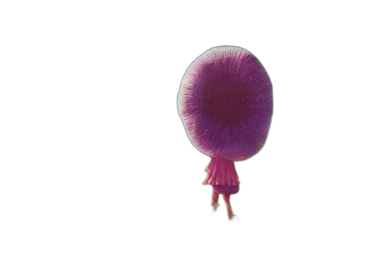 umbrella, hair, dress, creature transparent PNG cut-out