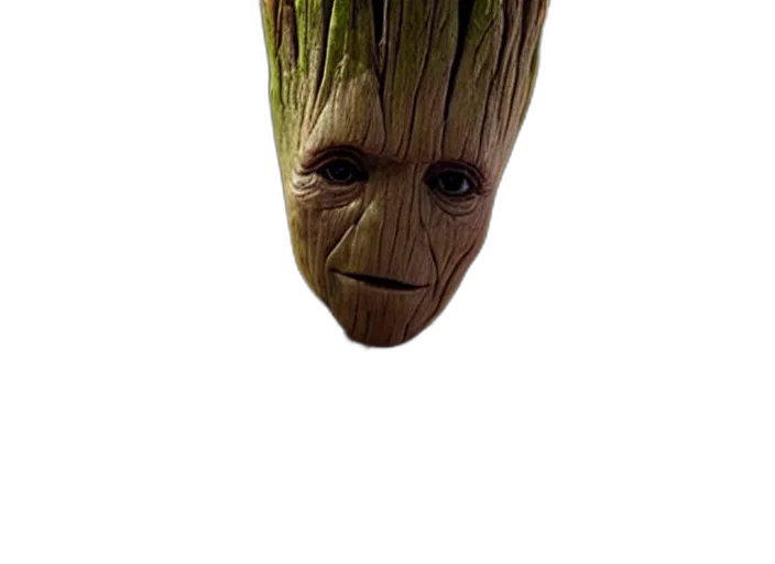 mask, face, creature, tree transparent PNG cut-out
