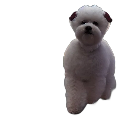 animal, staff, creature, face transparent PNG cut-out