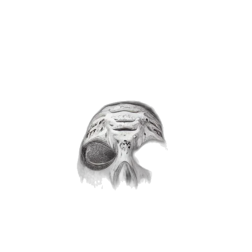 jewelry, mask, crown, face, pencil sketch, photorealistic, 3d render, nemesis transparent PNG cut-out