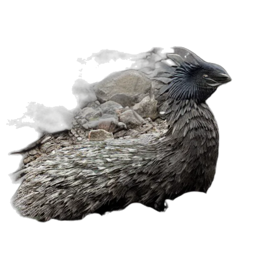 dragon, animal, creature, crown, photorealistic, fantasy art, 3d render, concept art transparent PNG cut-out