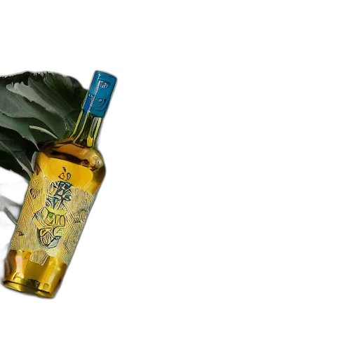 bottle, crown, liqueur, modern transparent PNG cut-out