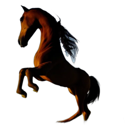 animal, creature, dragon, hair transparent PNG cut-out