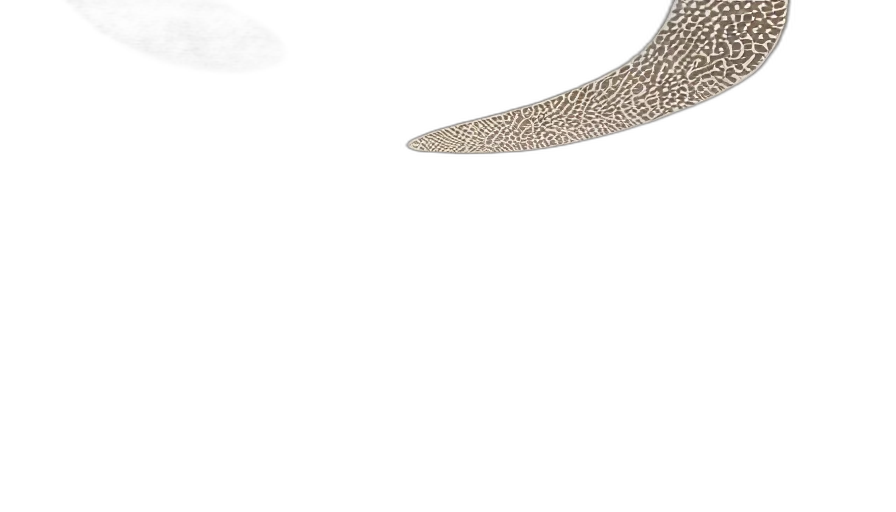 shoes, hat, jewelry, staff, 3d render, photorealistic, earth tones, low transparent PNG cut-out