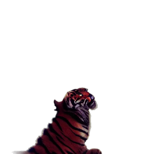 animal, creature, dragon, staff transparent PNG cut-out