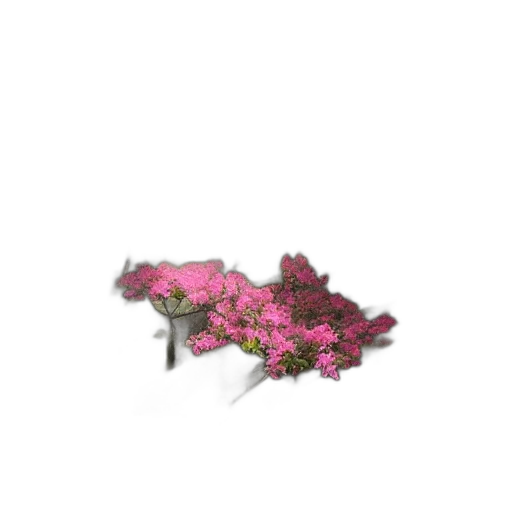 flower, animal, dragon, crown, 3d render, vaporwave, photorealistic, pixel art transparent PNG cut-out