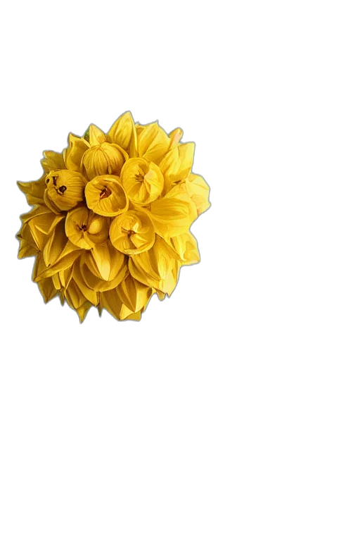 flower, crown, jewelry, staff, 3d render, photorealistic, pixel art, oil painting transparent PNG cut-out