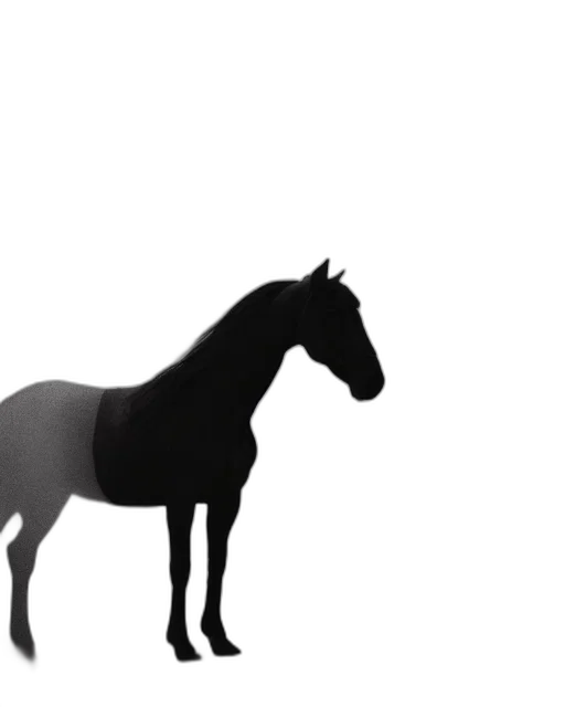 animal, crown, creature, hat transparent PNG cut-out