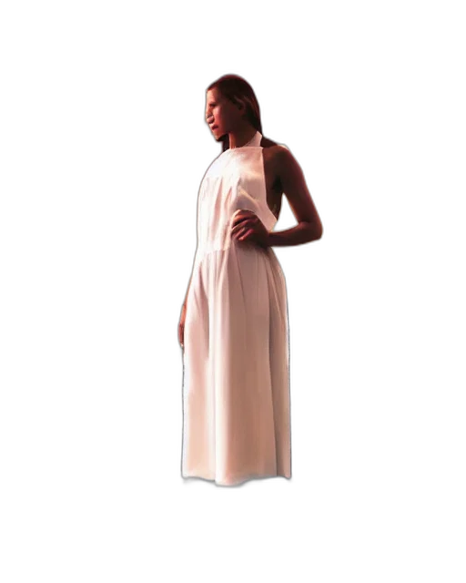 dress, 3d render, concept art, earth tones transparent PNG cut-out