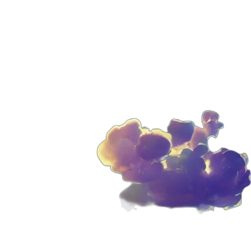 food, dragon, shoes, crown transparent PNG cut-out