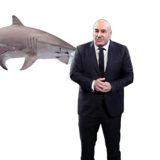 animal, creature, underwater, beard transparent PNG cut-out