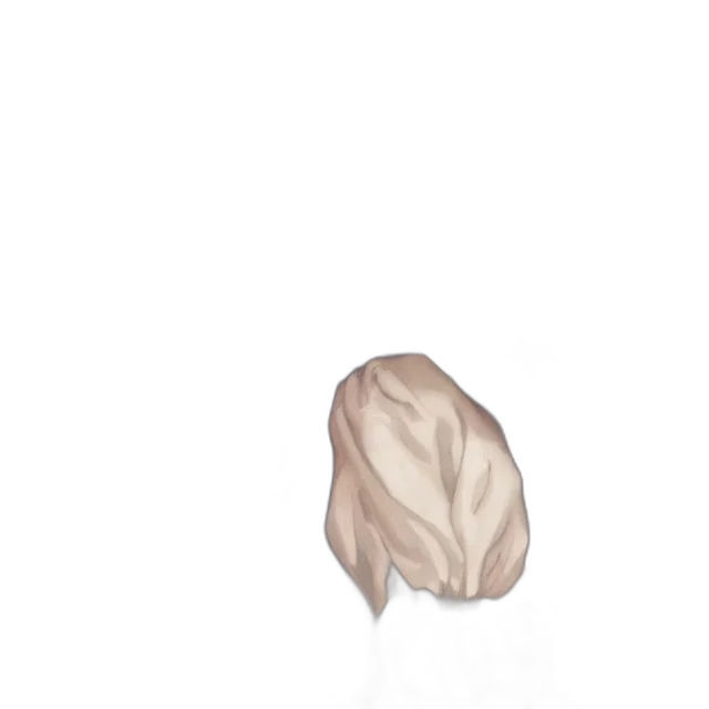 crown, mask, hat, hair transparent PNG cut-out