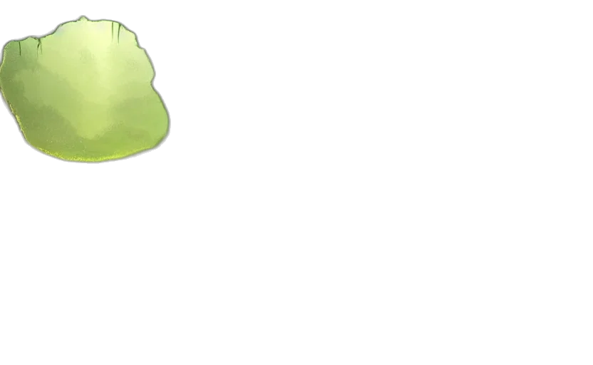 tree, hat, creature, staff transparent PNG cut-out