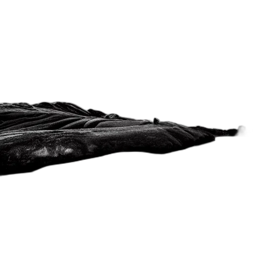 dragon, hair, shoes, sword, photorealistic, concept art, pencil sketch, 3d render transparent PNG cut-out