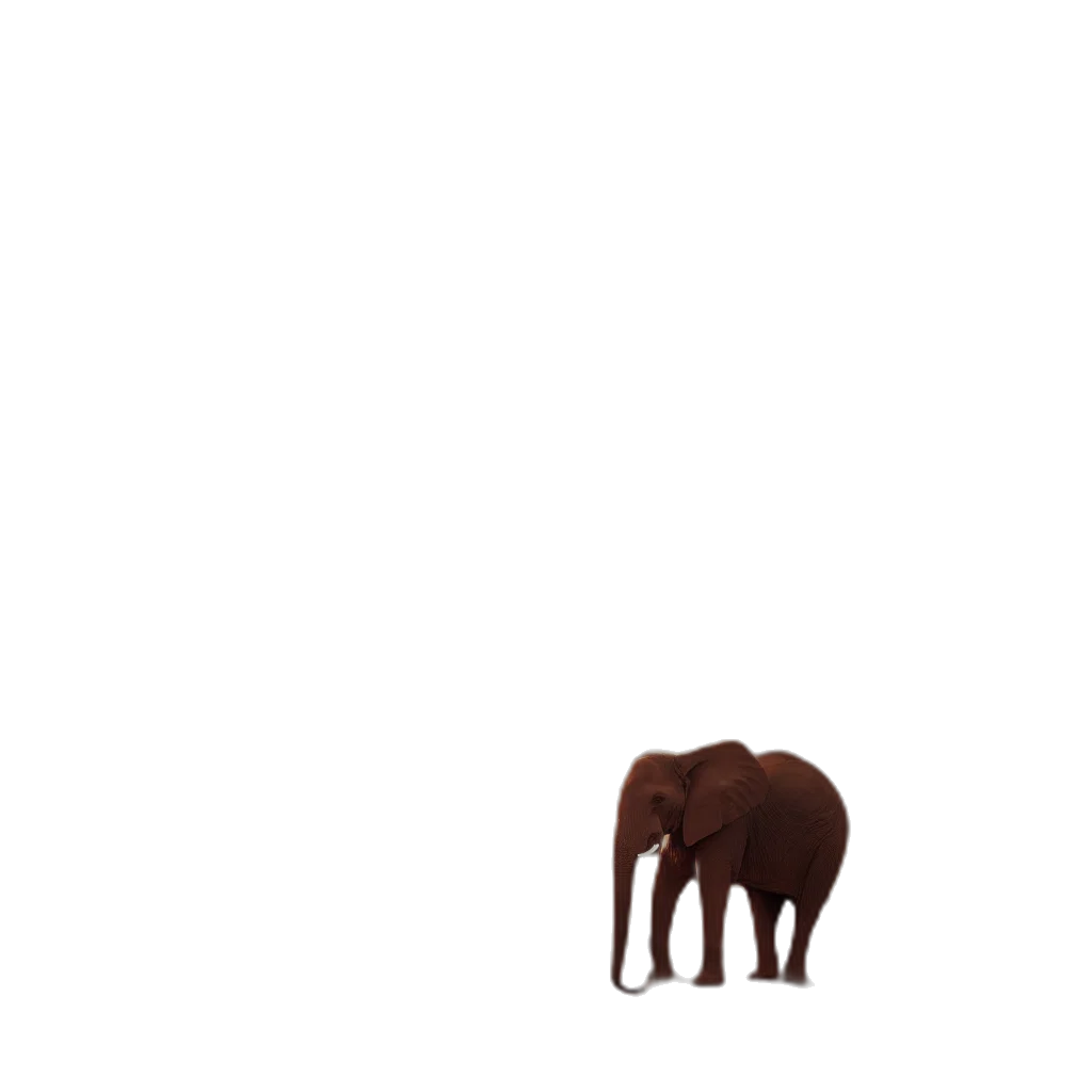 animal, creature, furniture, hair transparent PNG cut-out