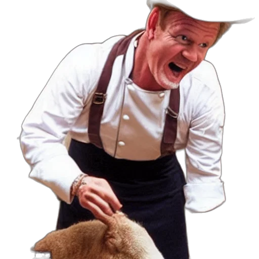 animal, staff, food, hat, photorealistic, candid, shot, gordon transparent PNG cut-out