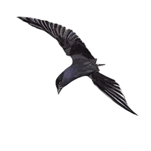 animal, staff, weapon, creature, photorealistic, 3d render, concept art, fantasy art transparent PNG cut-out