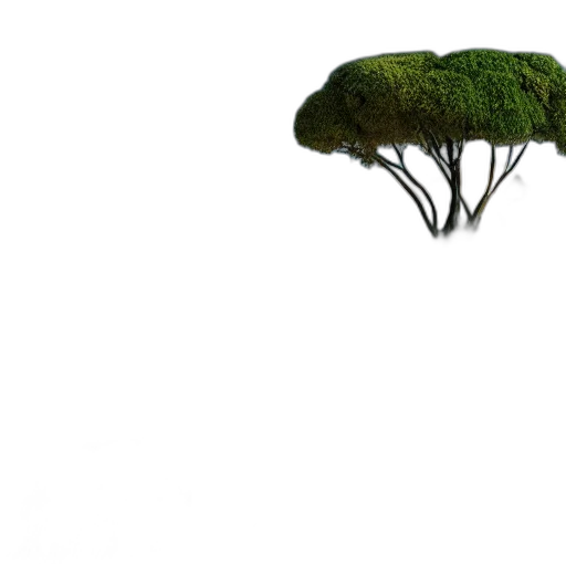 tree, hair, creature, hat, 3d render, concept art, photorealistic, fantasy art transparent PNG cut-out