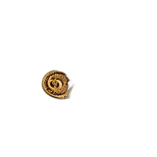 jewelry, food, hair, flower, 3d render, photorealistic, earth tones, golden transparent PNG cut-out
