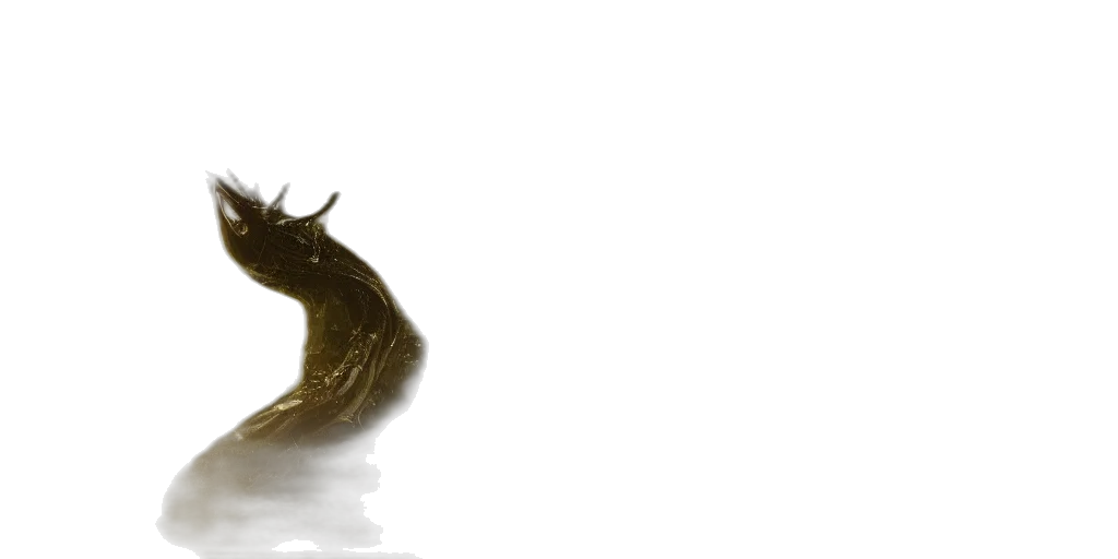 dragon, mask, crown, creature transparent PNG cut-out