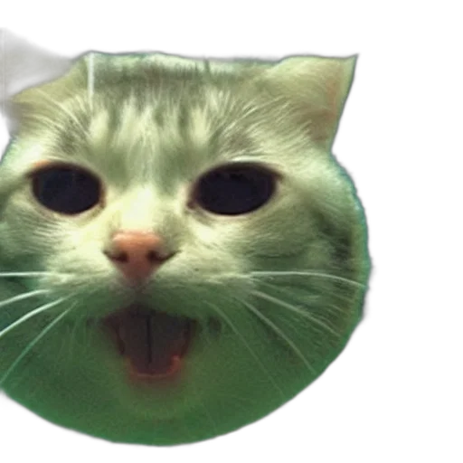 face, animal, mask, creature transparent PNG cut-out